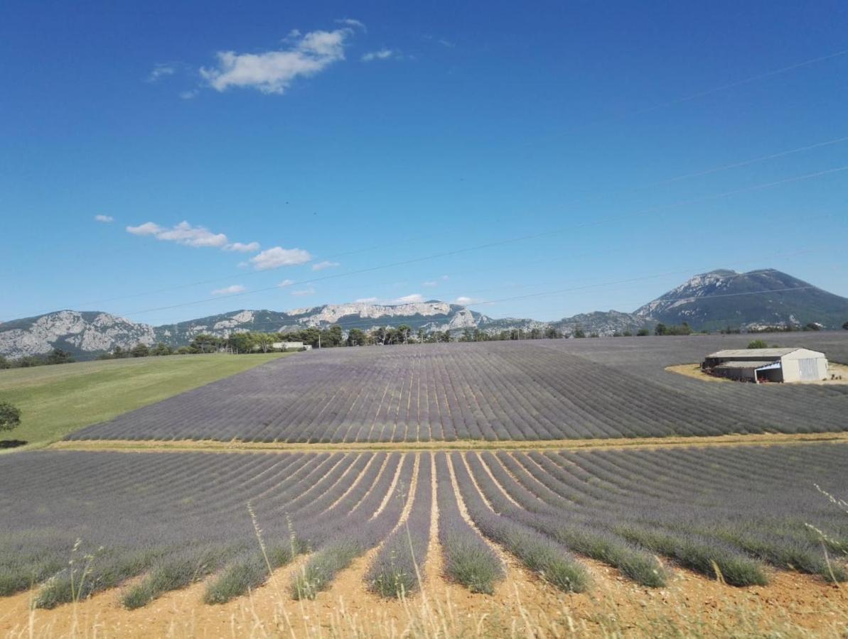 Le Clos En Provence Flayosc ภายนอก รูปภาพ