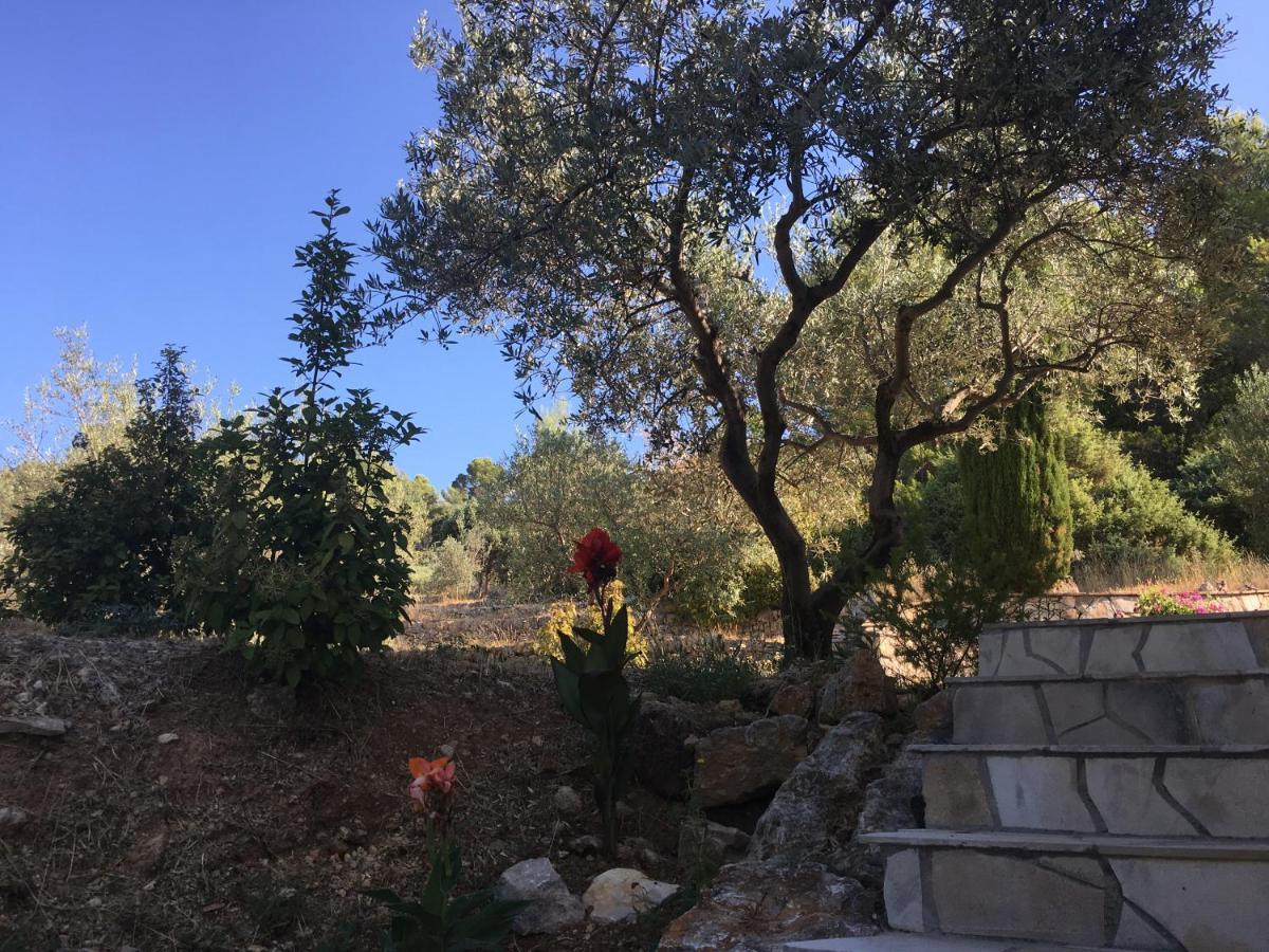 Le Clos En Provence Flayosc ภายนอก รูปภาพ